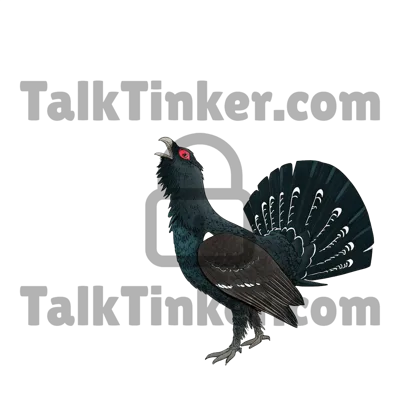 Capercaillie