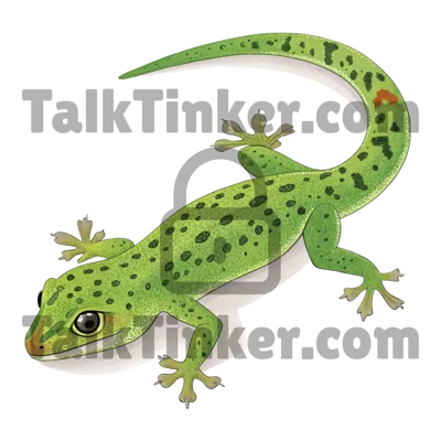 Gecko