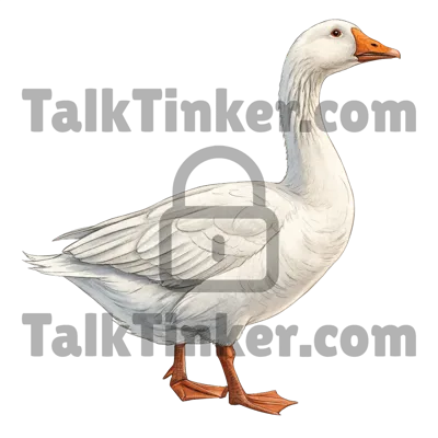 Goose