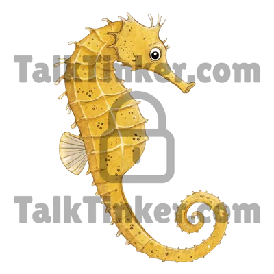 Seahorse