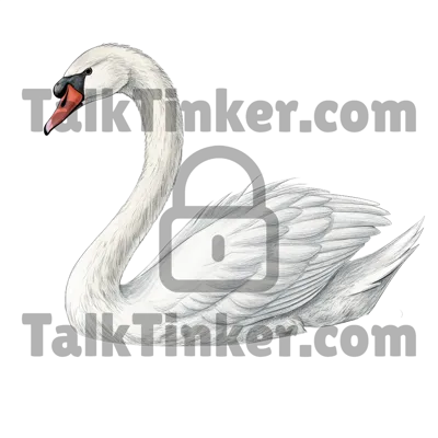 Swan