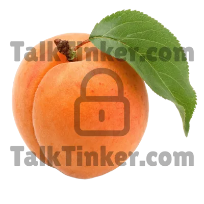 Apricot