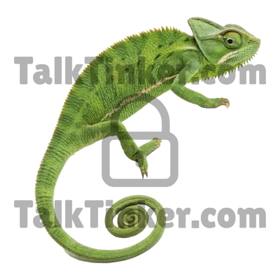 Chameleon