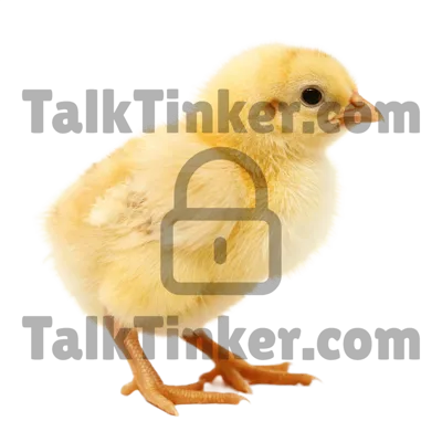 Chick