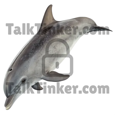 Dolphin