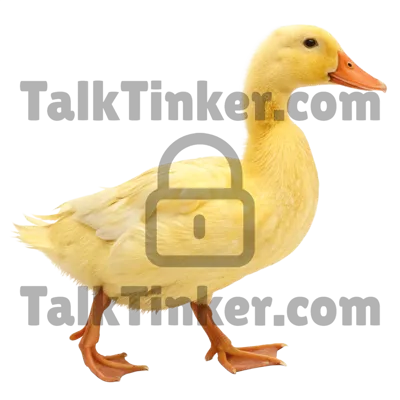 Duck