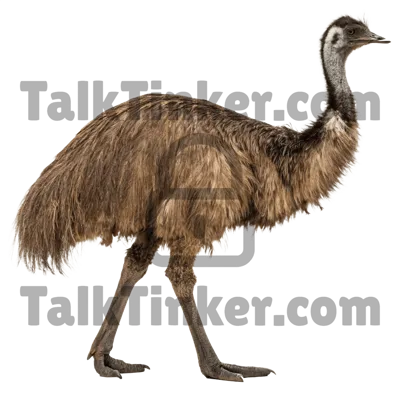 Emu
