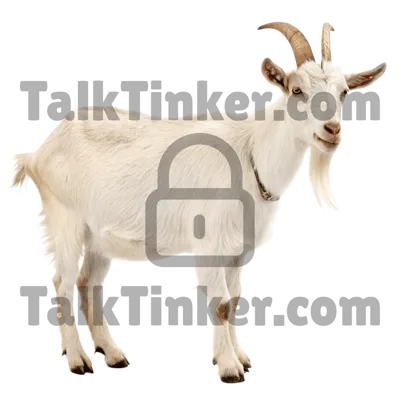 Goat