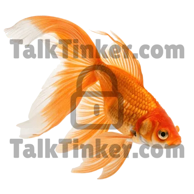 Goldfish