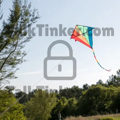Kite