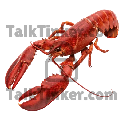 Lobster