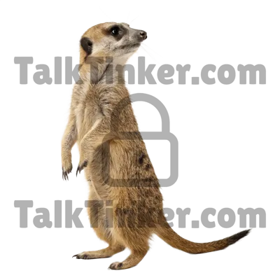 Meerkat