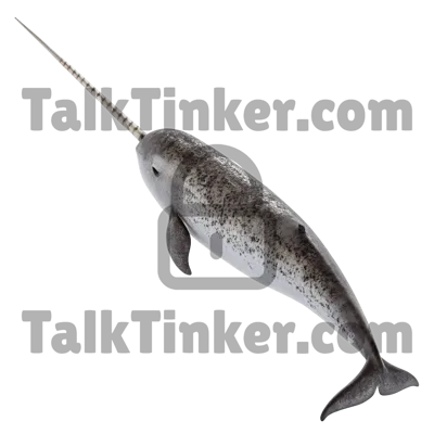 Narwhal