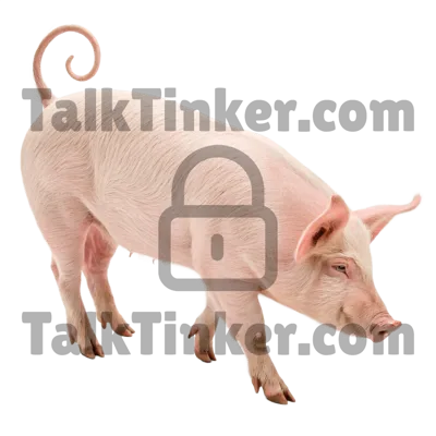 Pig