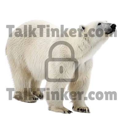 Polar Bear