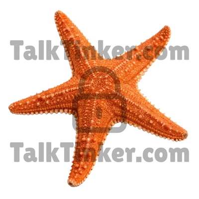 Starfish