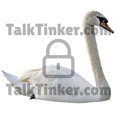 Swan