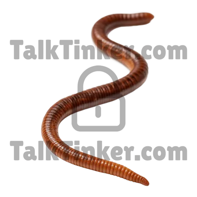 Earthworm