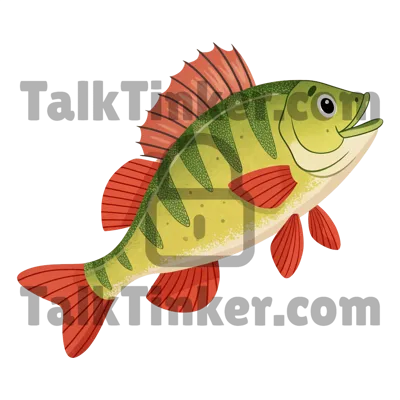 Perch