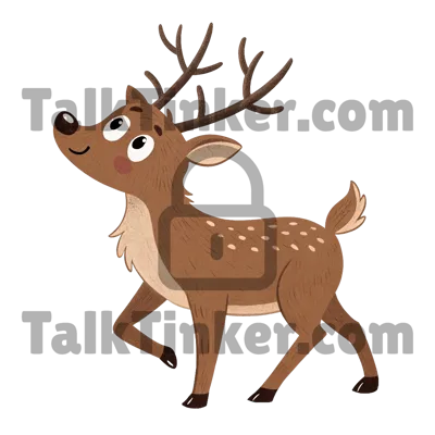 Reindeer