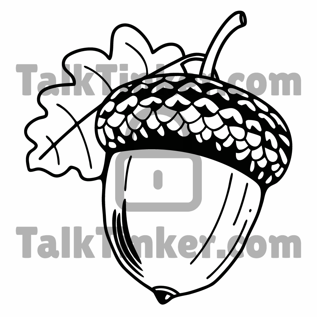 Acorn