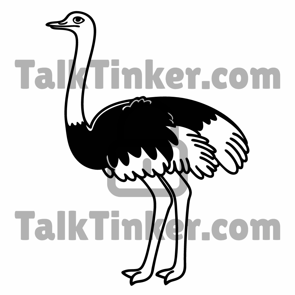 Ostrich