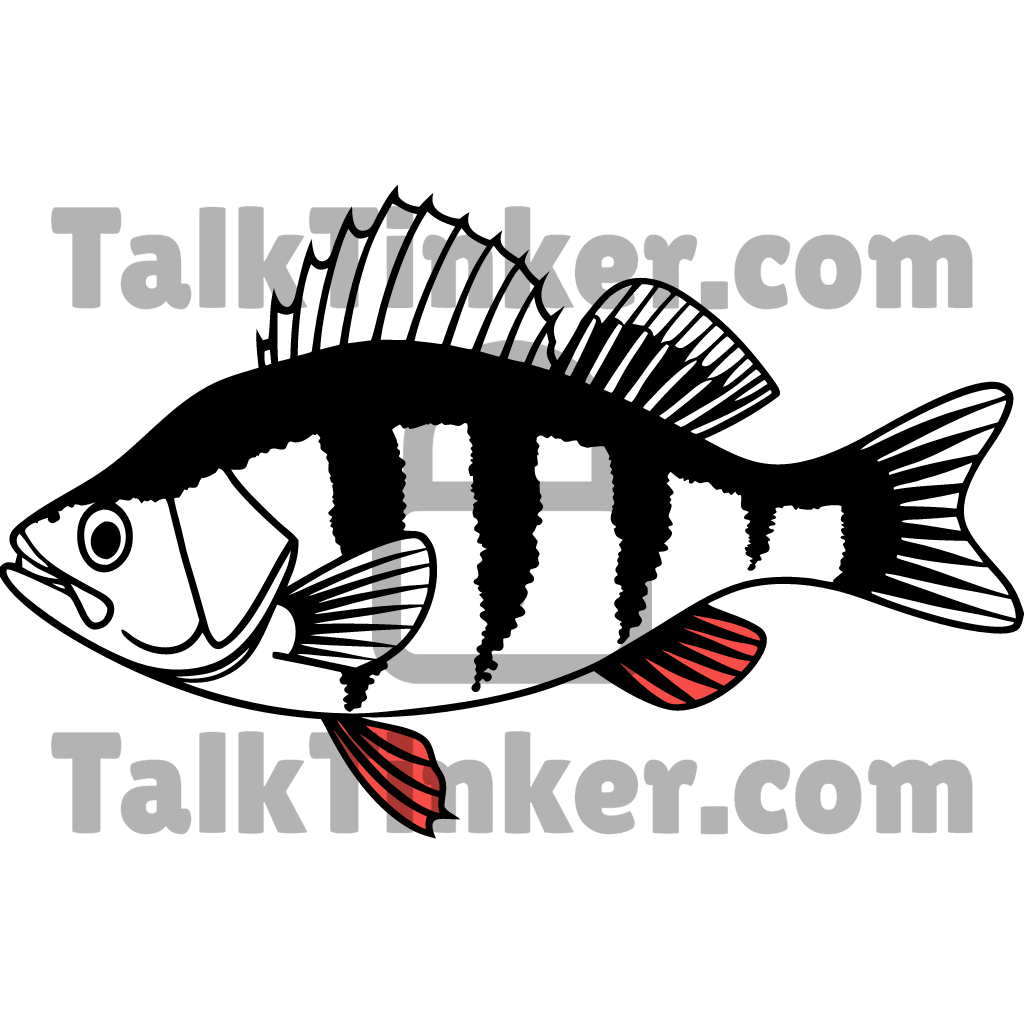 Perch