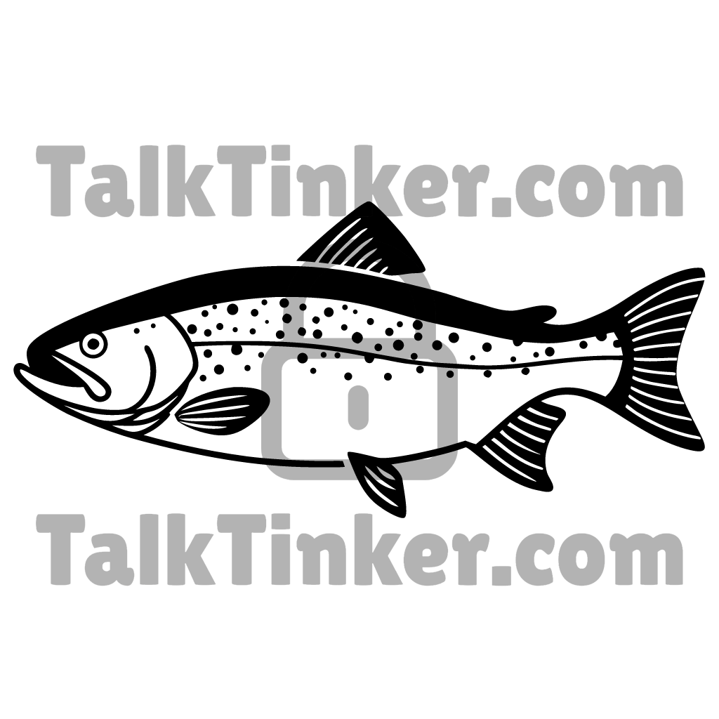 Salmon