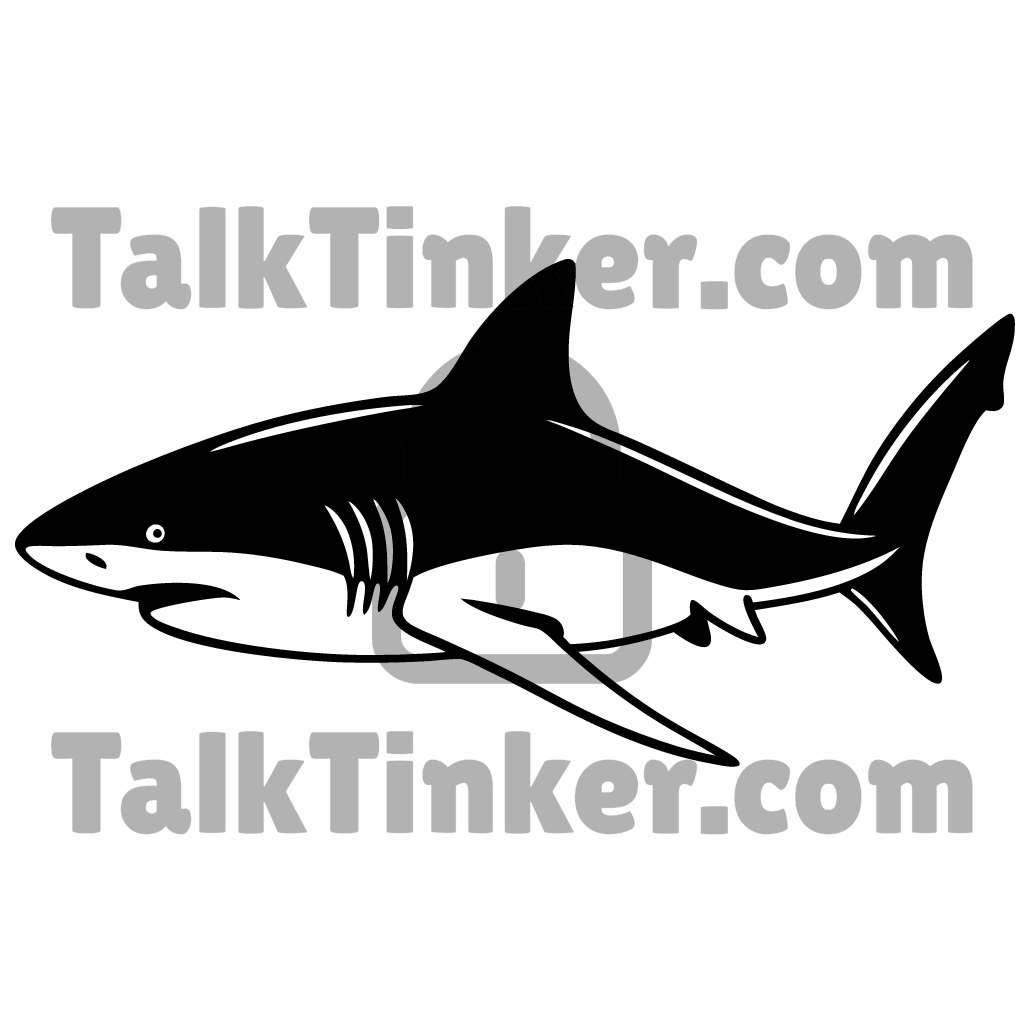 Shark - Vector